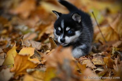 Nov14_22_216.jpg