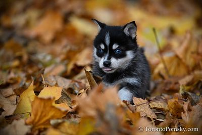 Nov14_22_217.jpg