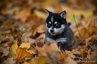 Nov14_22_218.jpg