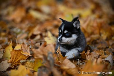 Nov14_22_219.jpg