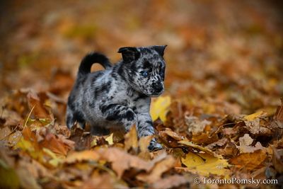 Nov14_22_222.jpg