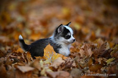 Nov14_22_152.jpg