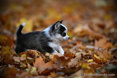 Nov14_22_159.jpg