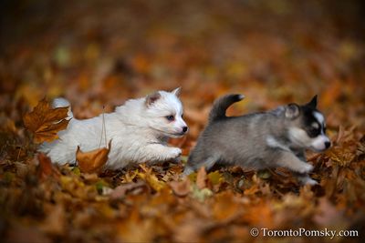 Nov14_22_051.jpg