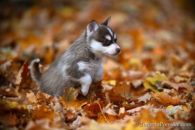 Nov14_22_076.jpg
