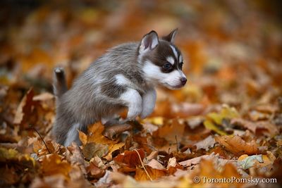 Nov14_22_077.jpg