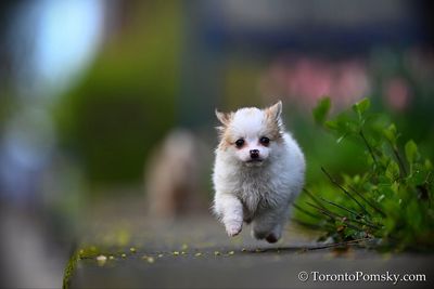May4_23_271.jpg