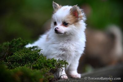 May4_23_296.JPG