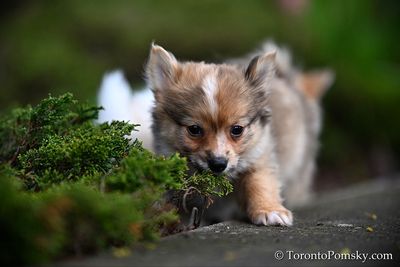 May4_23_297.jpg