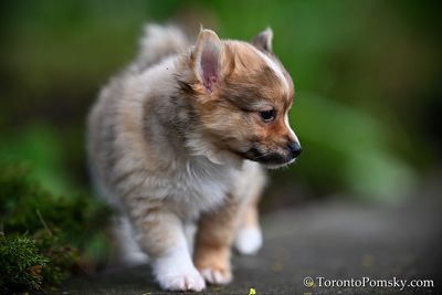 May4_23_298.jpg