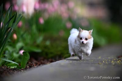 May4_23_325.jpg