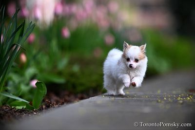 May4_23_326.jpg