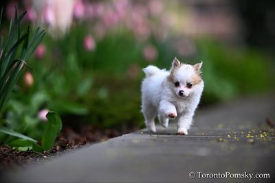 May4_23_327.jpg