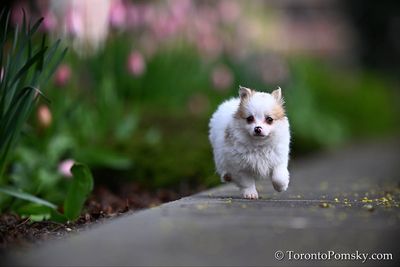 May4_23_328.jpg