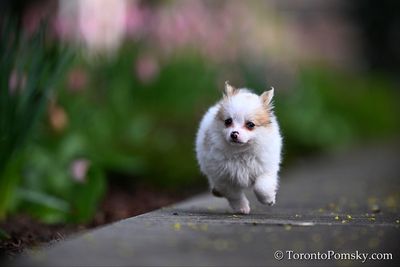 May4_23_332.jpg
