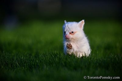 Apr27_23_200.jpg
