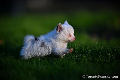 Apr27_23_201.jpg