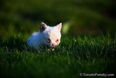 Apr27_23_207.jpg