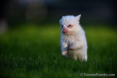 Apr27_23_212.jpg