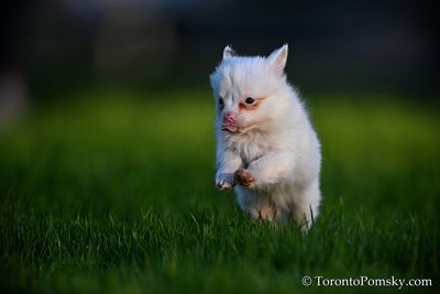 Apr27_23_213.jpg