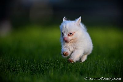Apr27_23_214.jpg