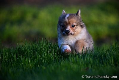 Apr27_23_221.jpg