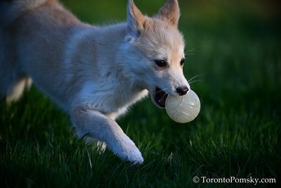 Apr27_23_233.JPG