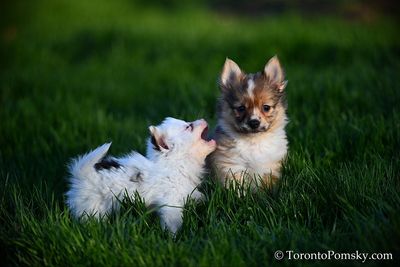 Apr27_23_127.jpg