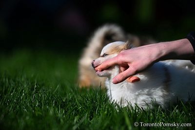 Apr27_23_130.jpg