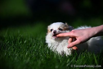 Apr27_23_132.jpg