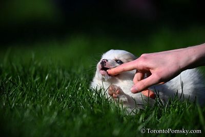 Apr27_23_133.jpg
