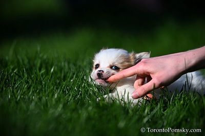 Apr27_23_135.jpg
