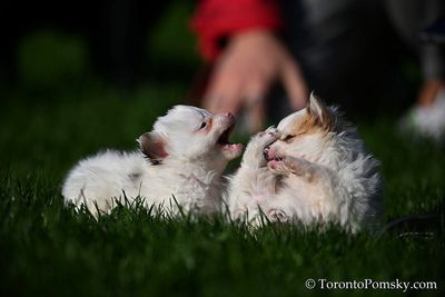 Apr27_23_143.jpg