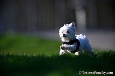 Apr27_23_146.jpg