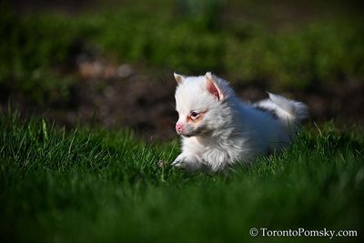 Apr27_23_155.jpg