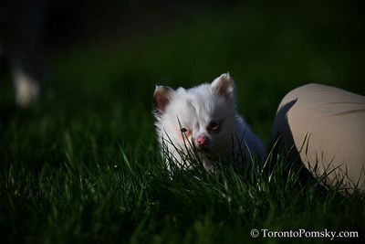 Apr27_23_166.jpg