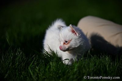 Apr27_23_167.jpg