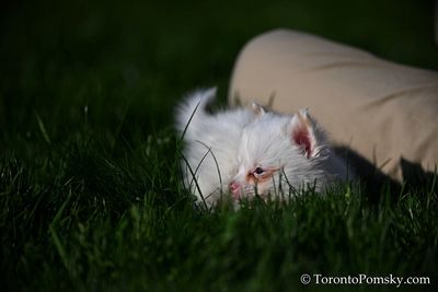 Apr27_23_168.jpg