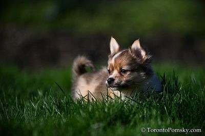 Apr27_23_170.jpg