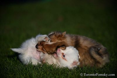 Apr27_23_091.jpg