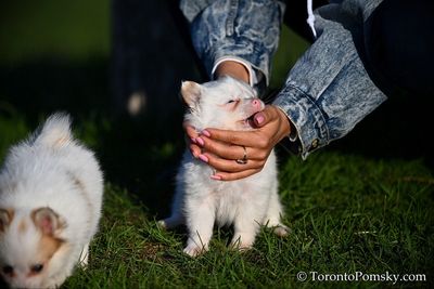 Apr27_23_100.jpg