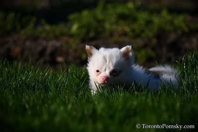 Apr27_23_008.jpg