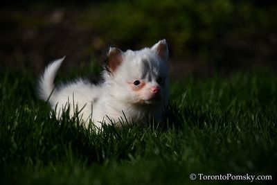 Apr27_23_010.jpg