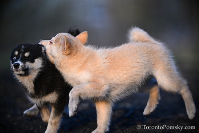 Apr15_23_243.JPG