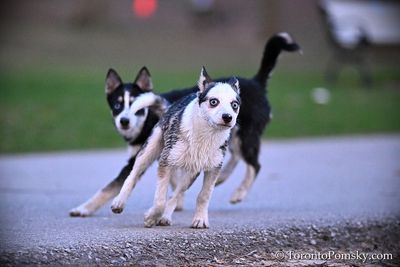 Apr15_23_278.jpg