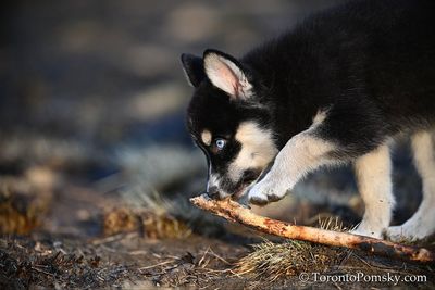 Apr15_23_006.jpg