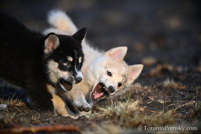 Apr15_23_007.jpg