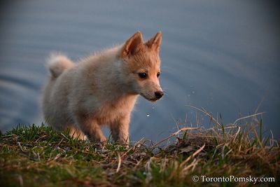 Apr15_23_022.jpg
