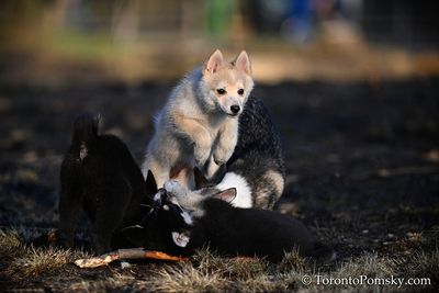 Apr15_23_050.jpg