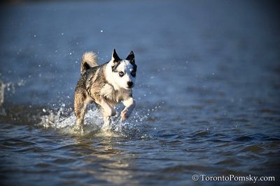 Apr13_23_120.jpg